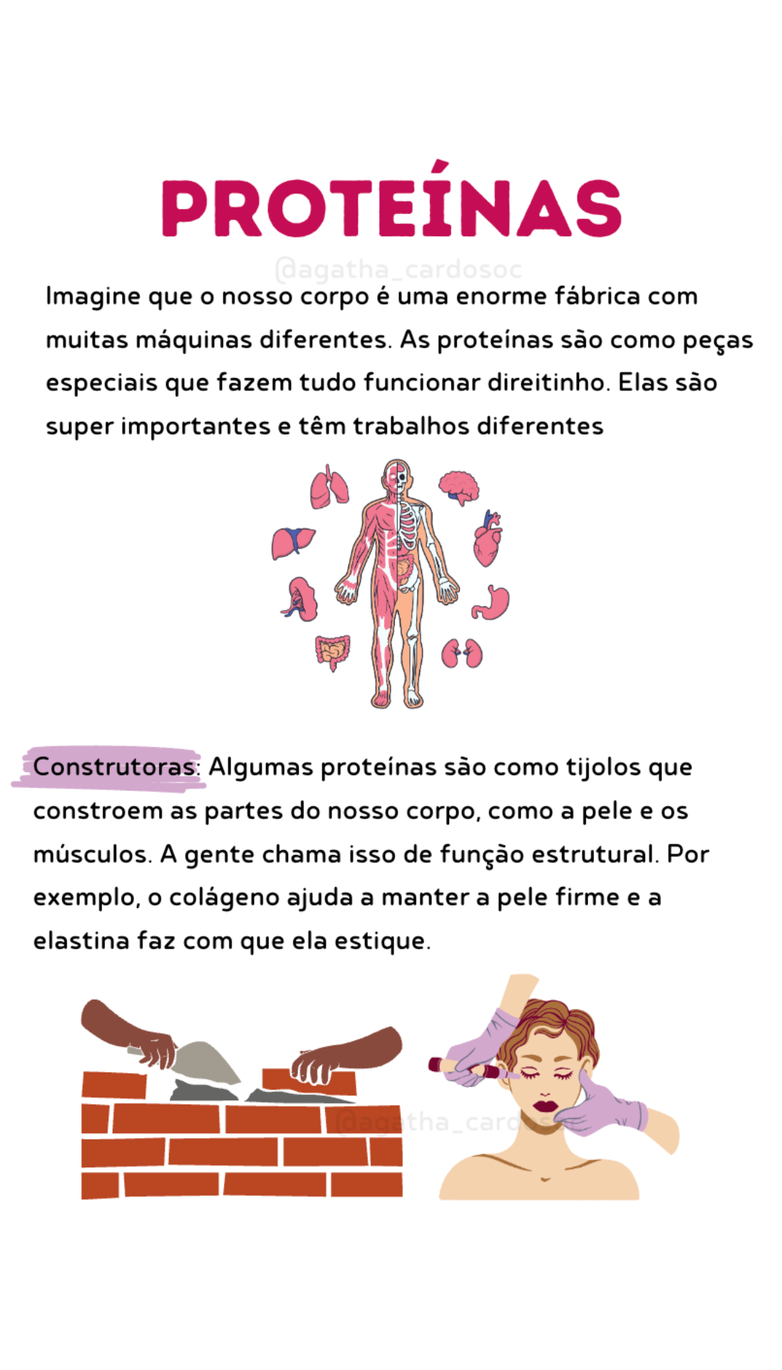 apostila-4